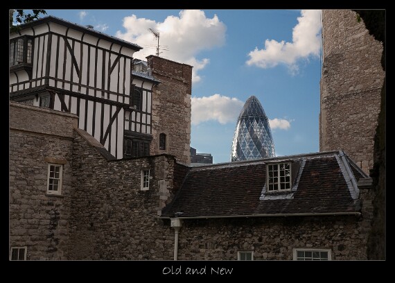 IMG_0489 5D